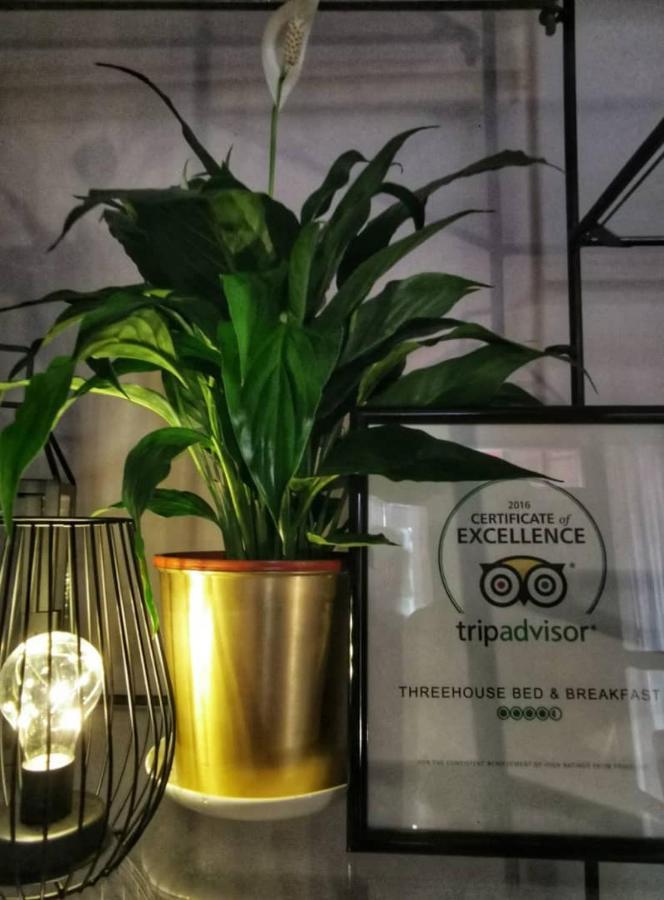 Treehouse Hostel กูชิง ภายนอก รูปภาพ